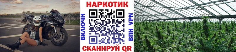 Купить наркотики цена Чита СК  МЕФ  КОКАИН  Галлюциногенные грибы  Бошки Шишки  ГАШ 
