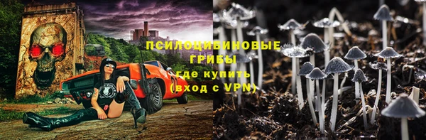 гашик Усинск