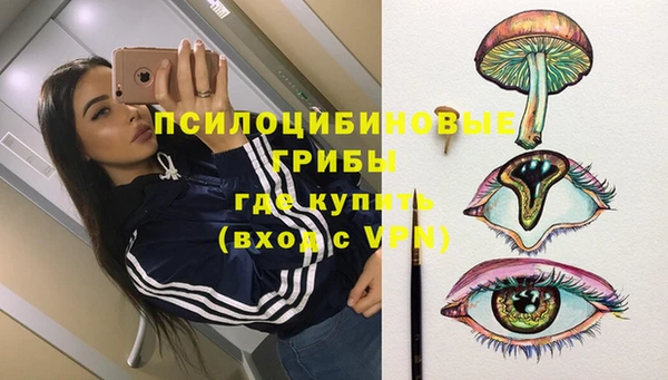 гашик Усинск