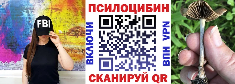 Псилоцибиновые грибы MAGIC MUSHROOMS  Чита 