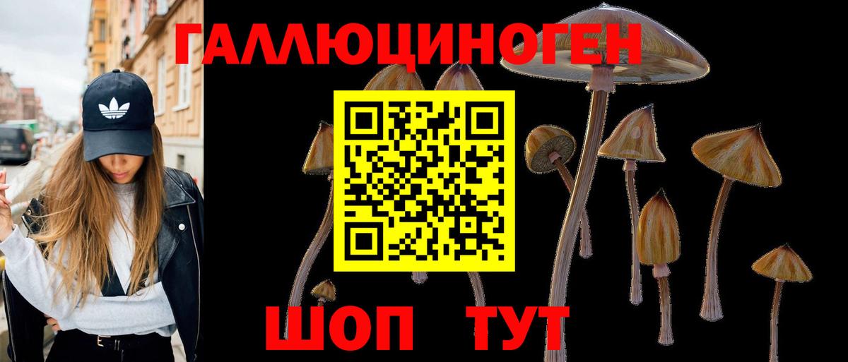 Галлюциногенные грибы Magic Shrooms  Вход с VPN  Чита 