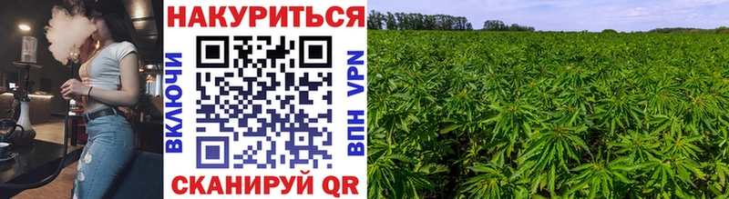 Канабис тримм Чита